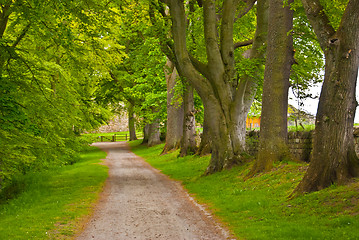 Image showing Scottish scenery