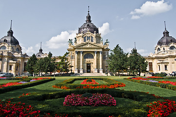 Image showing Szechenyi Fuerdo