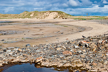 Image showing Dunnet Bay