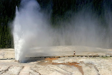 Image showing beehive geyser