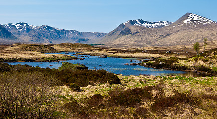 Image showing Rannoch Moor