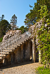 Image showing Armadale Castle Gardens