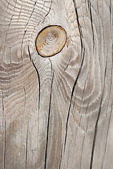 Image showing Silver-gray knotty wood texture