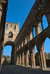 Image showing Jedburgh Abbey