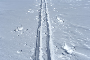 Image showing Ski track crossing a winter terrain