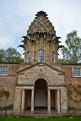 Image showing Dunmore Pineapple