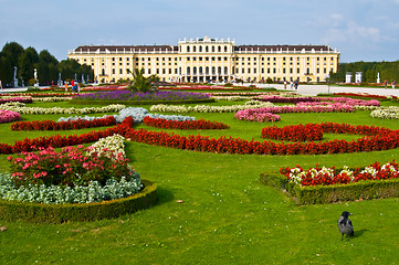 Image showing Schoenbrunn