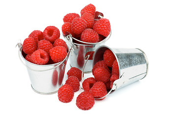 Image showing Buckets with Raspberries