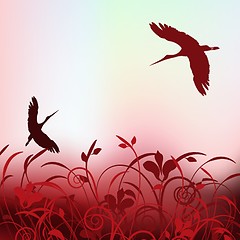 Image showing  beautiful cranes flying in the spring sky.
