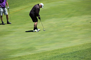 Image showing Golfer on the golf course