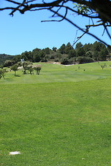 Image showing View from the tee of on a golf course