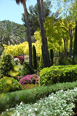 Image showing Lush tropical garden