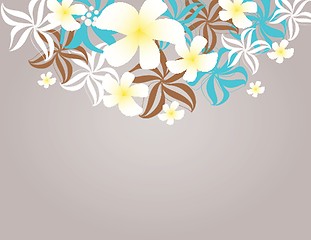 Image showing Tropical flowers frangipani (plumeria) .