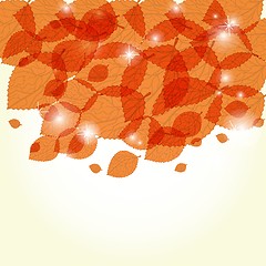 Image showing  Colorful autumn leaves. Vector illustration.