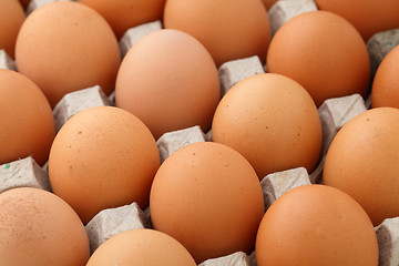 Image showing Farm egg