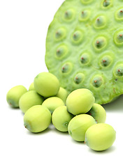 Image showing Fresh lotus seeds and pod