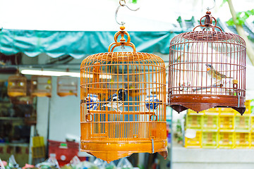 Image showing Birdcage on bird park in Hong Kong