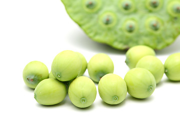 Image showing Fresh lotus seeds and pod isolated on white background