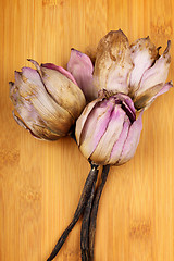 Image showing Bouquet of dead lotus