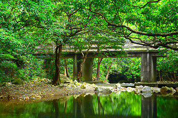 Image showing Forest with lake