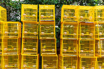 Image showing Birds in cage at birds market in Hongkong