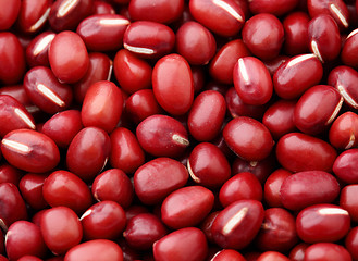 Image showing Red Bean Adzuki background