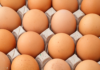 Image showing Farm egg in paper container