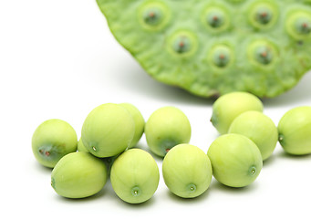 Image showing Fresh lotus seeds and pod