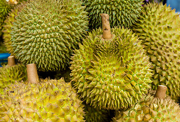 Image showing Durian