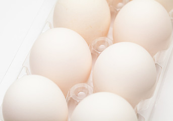 Image showing White egg in transparent container