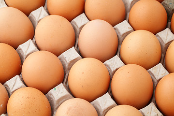 Image showing Farm egg in paper container