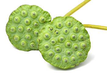 Image showing Bouquet of Lotus seed pod