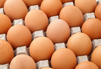 Image showing Farm egg in paper container