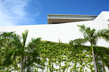 Image showing Exterior of the architecture with plant