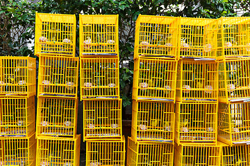 Image showing Bird Market in Hong Kong