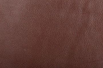 Image showing Grained leather texture