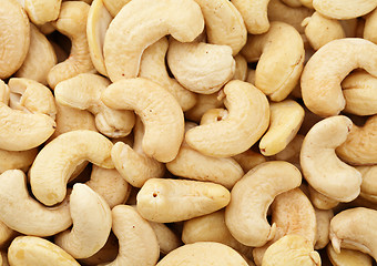 Image showing Fresh cashew nuts