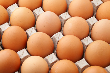 Image showing Farm egg in cardboard