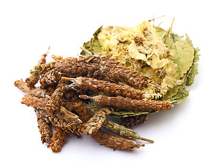 Image showing Chinese herbal medicine ingredient