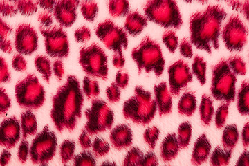 Image showing Leopard Printed in pink close up