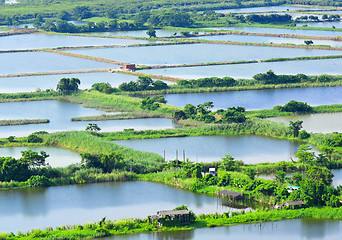 Image showing Fish hatchery pond