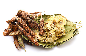 Image showing Chinese herbal medicine ingredient