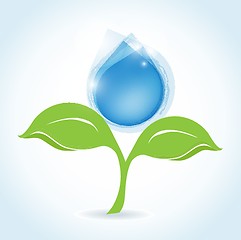 Image showing Water drop vector