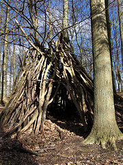 Image showing Forrest Hut