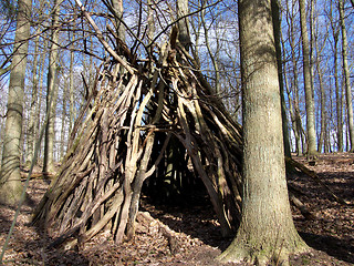 Image showing Forrest Hut