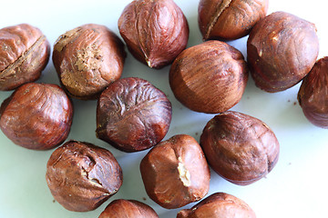 Image showing hazelnut