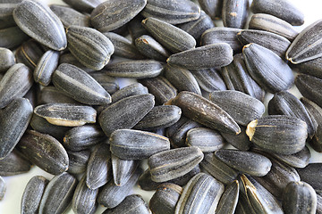 Image showing sunflower seeds