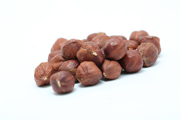 Image showing hazelnut