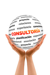 Image showing Consulting Word Sphere (In Spanish)