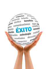 Image showing Success Word Sphere (In Spanish)